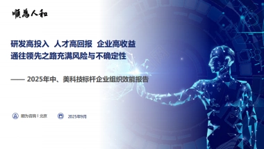 2025年中、美科技标杆企业组织效能报告-顺为咨询