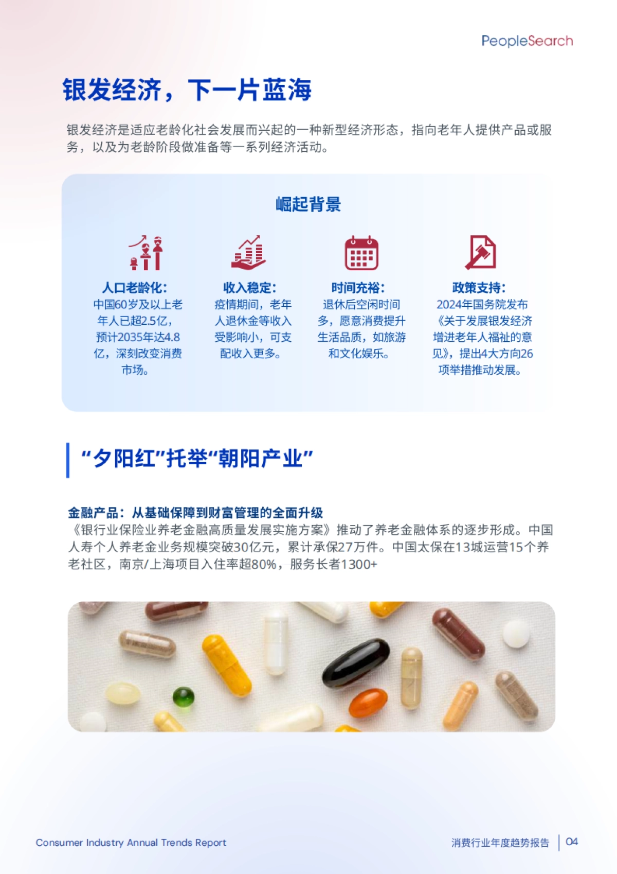 2025消费行业年度趋势报告-PeopleSearch_第6页