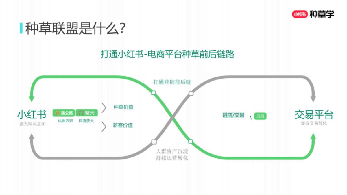 2025小红书双11「种草+搜索」指南_第9页