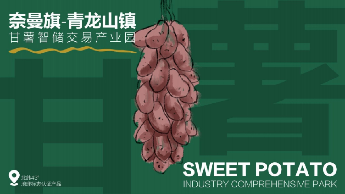 奈曼旗数字化甘薯产业园发展规划_第1页