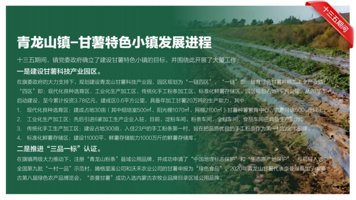 奈曼旗数字化甘薯产业园发展规划_第10页