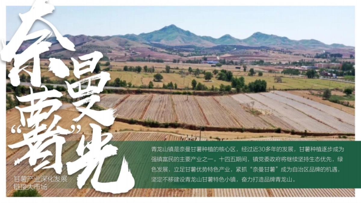 奈曼旗数字化甘薯产业园发展规划_第3页