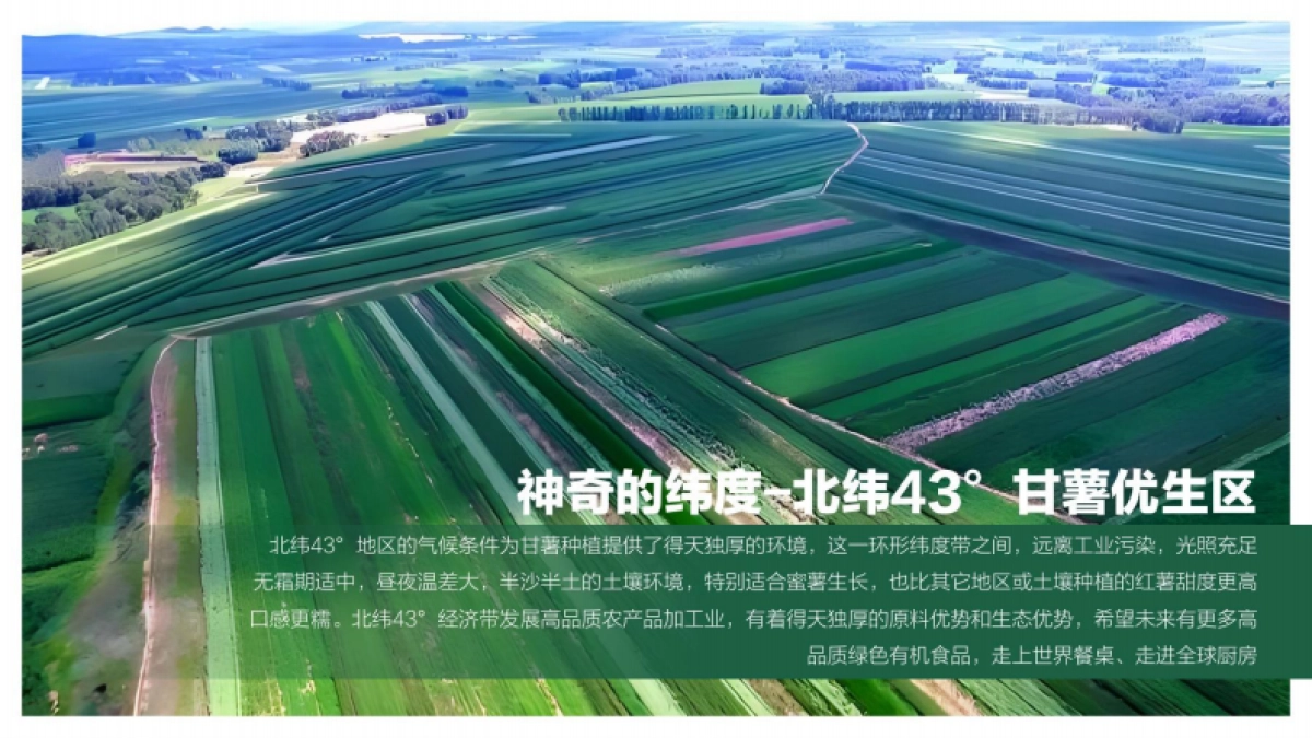 奈曼旗数字化甘薯产业园发展规划_第7页