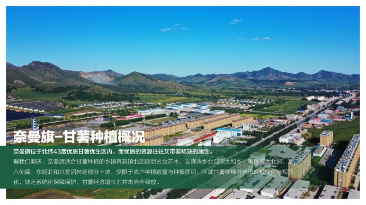 奈曼旗数字化甘薯产业园发展规划_第8页