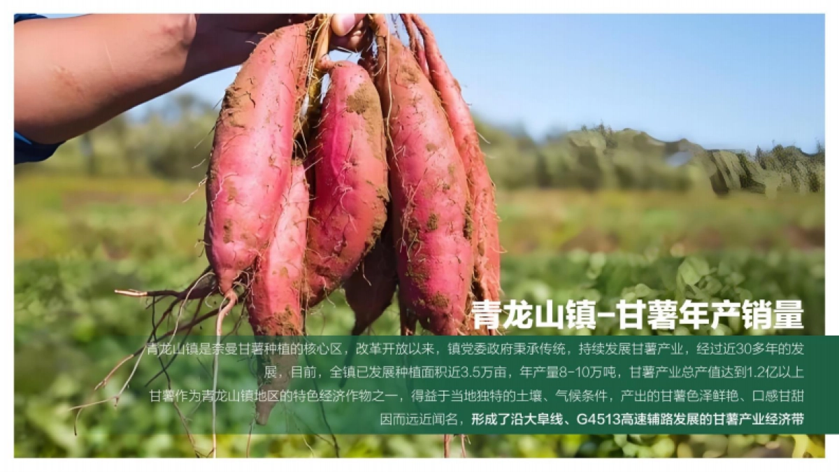 奈曼旗数字化甘薯产业园发展规划_第9页