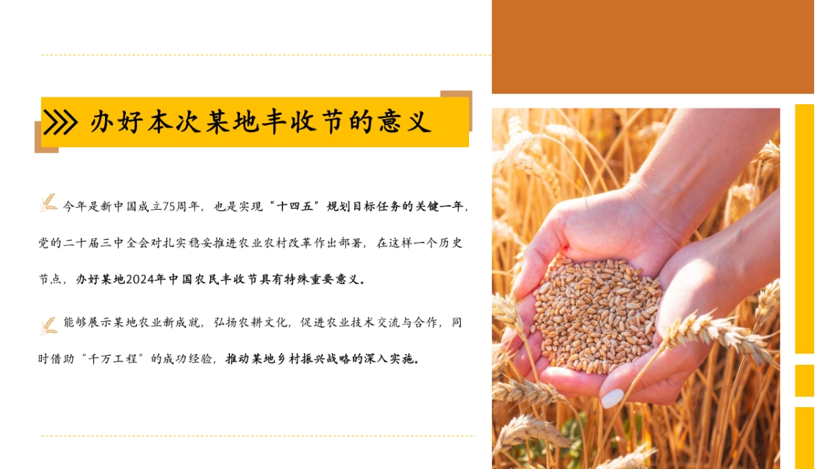 2024中国农民丰收节「学用‘千万工程’·礼赞丰收中国主题」活动策划方案_第5页