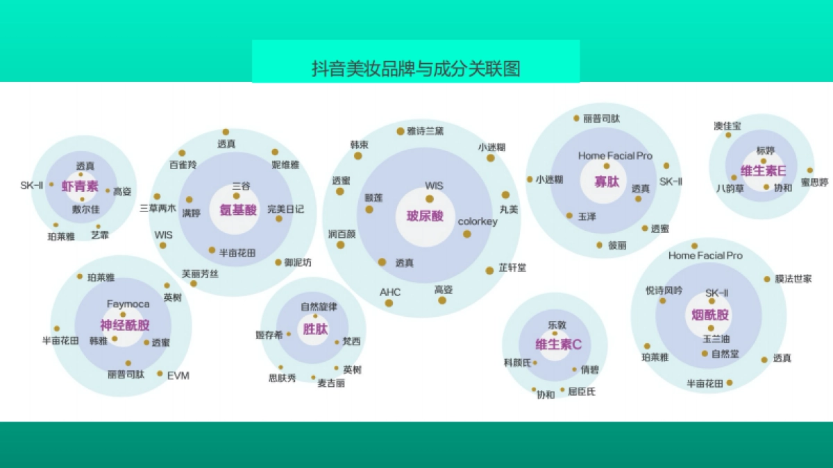 「私域运营 全渠道零售」美妆护肤企业零售数字化解决方案_第10页
