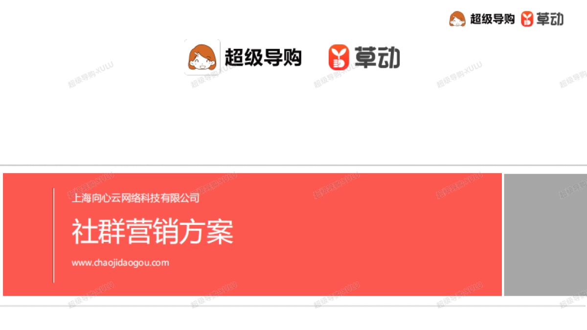 2020社群营销解决方案__第1页