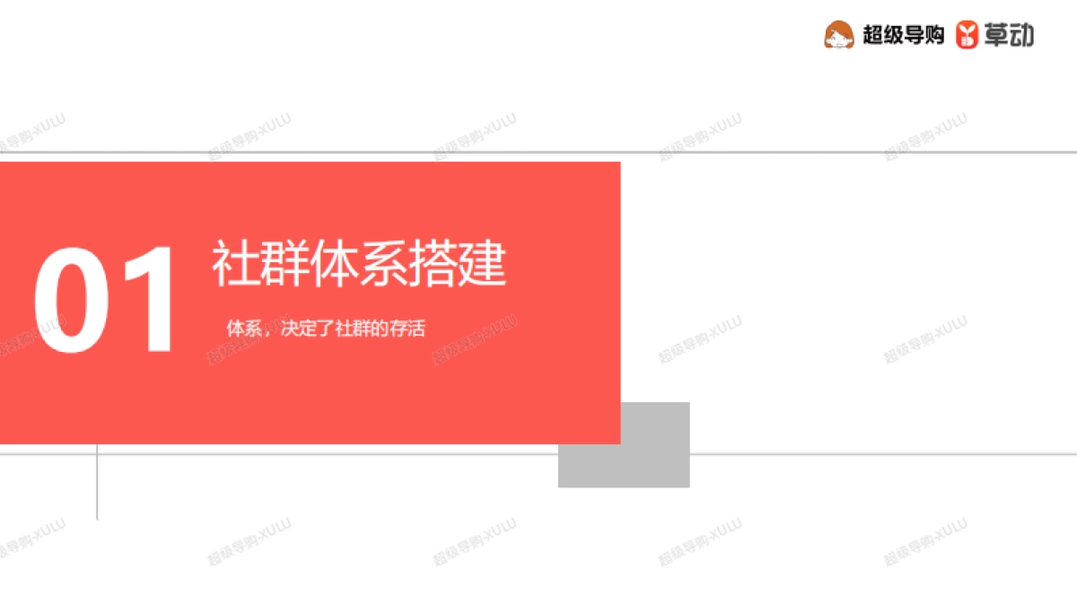 2020社群营销解决方案__第4页