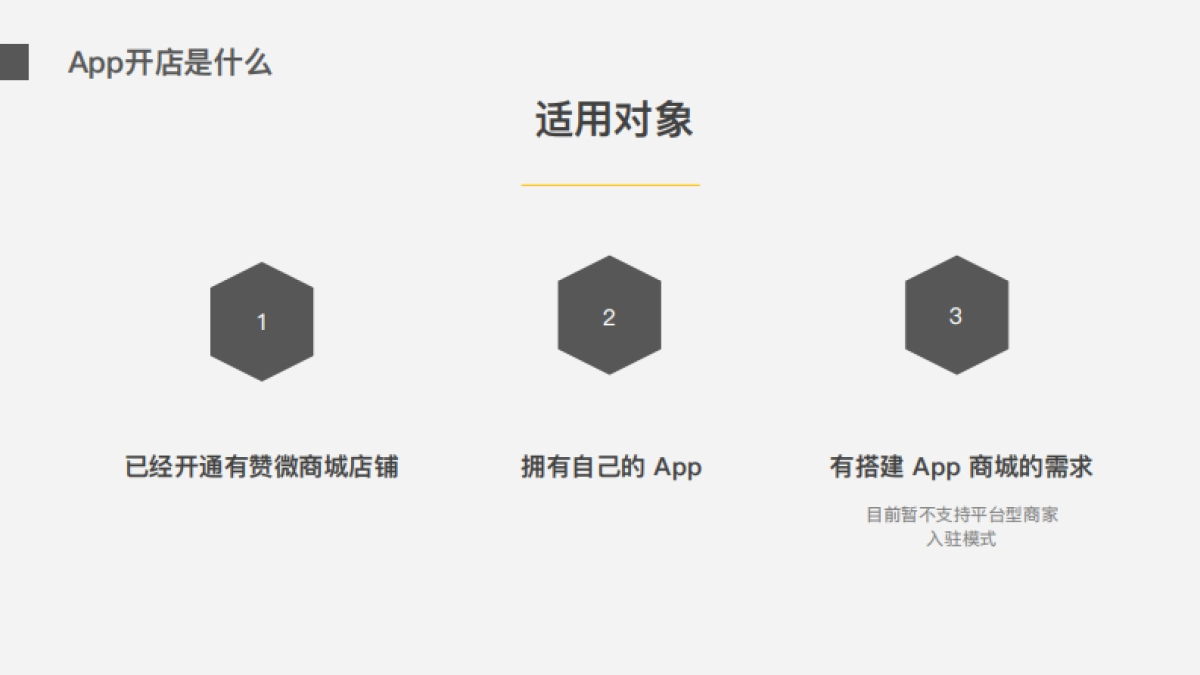 App开店解决方案_第4页