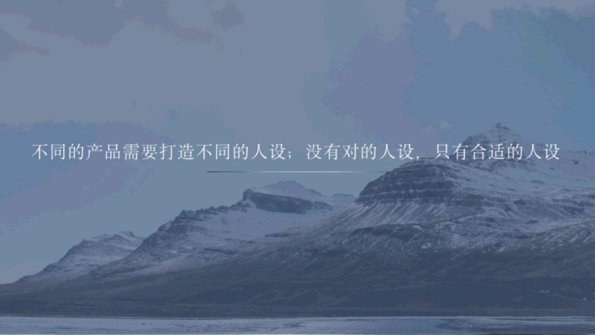 私域运营：打造私域人设_第8页