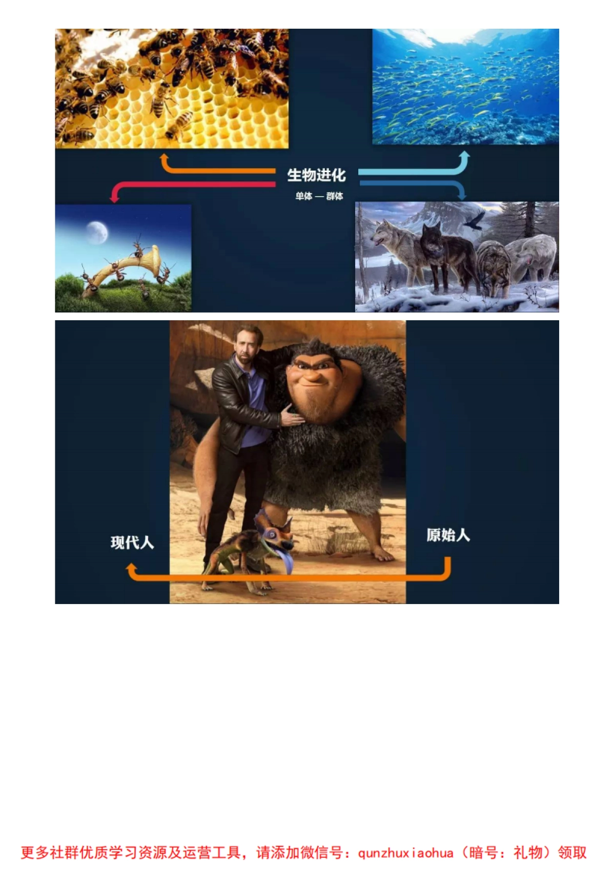 教育行业社群谈PPT_第4页