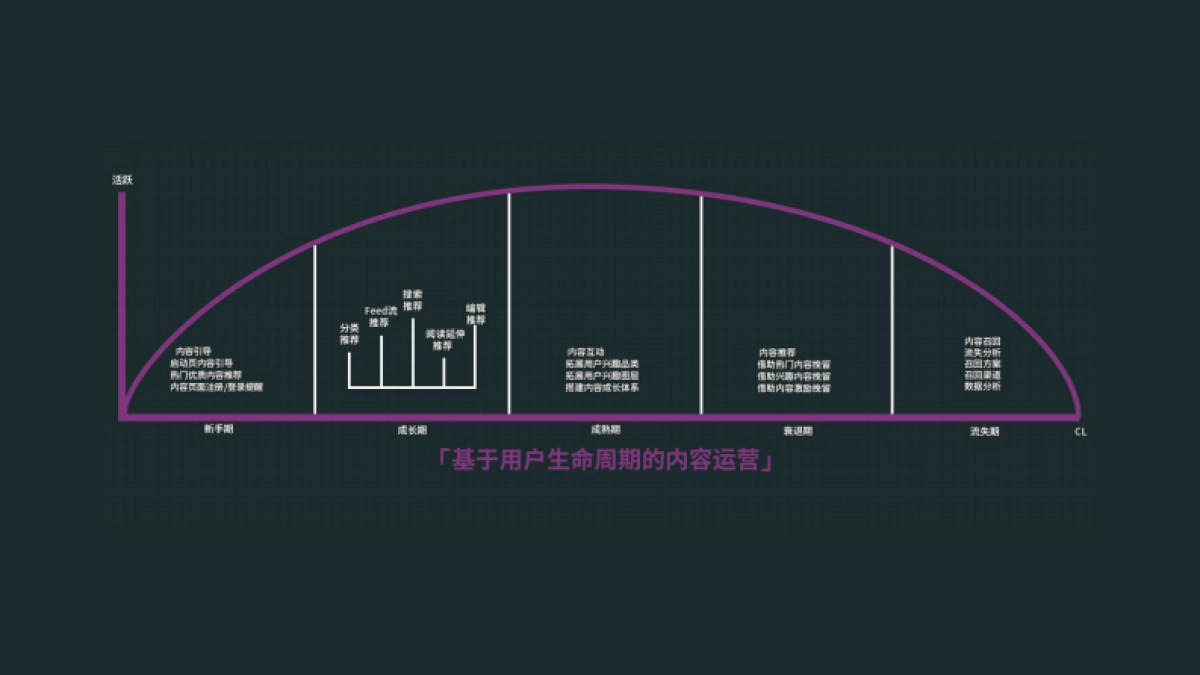 高阶运营方法论2-内容运营_第4页