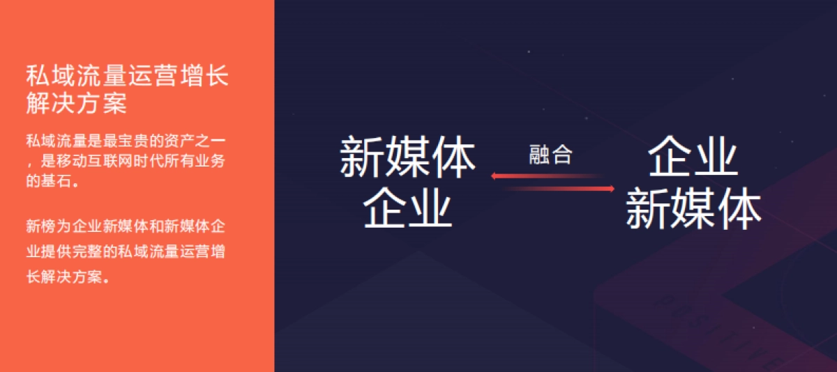 【私域流量】新榜——私域流量运营增长解决方案（广告，仅做参考）_第2页