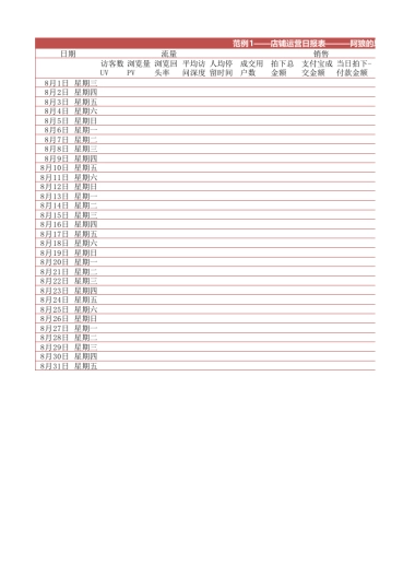 店铺运营日报表