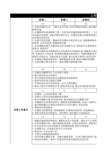 旗舰店月份运营计划