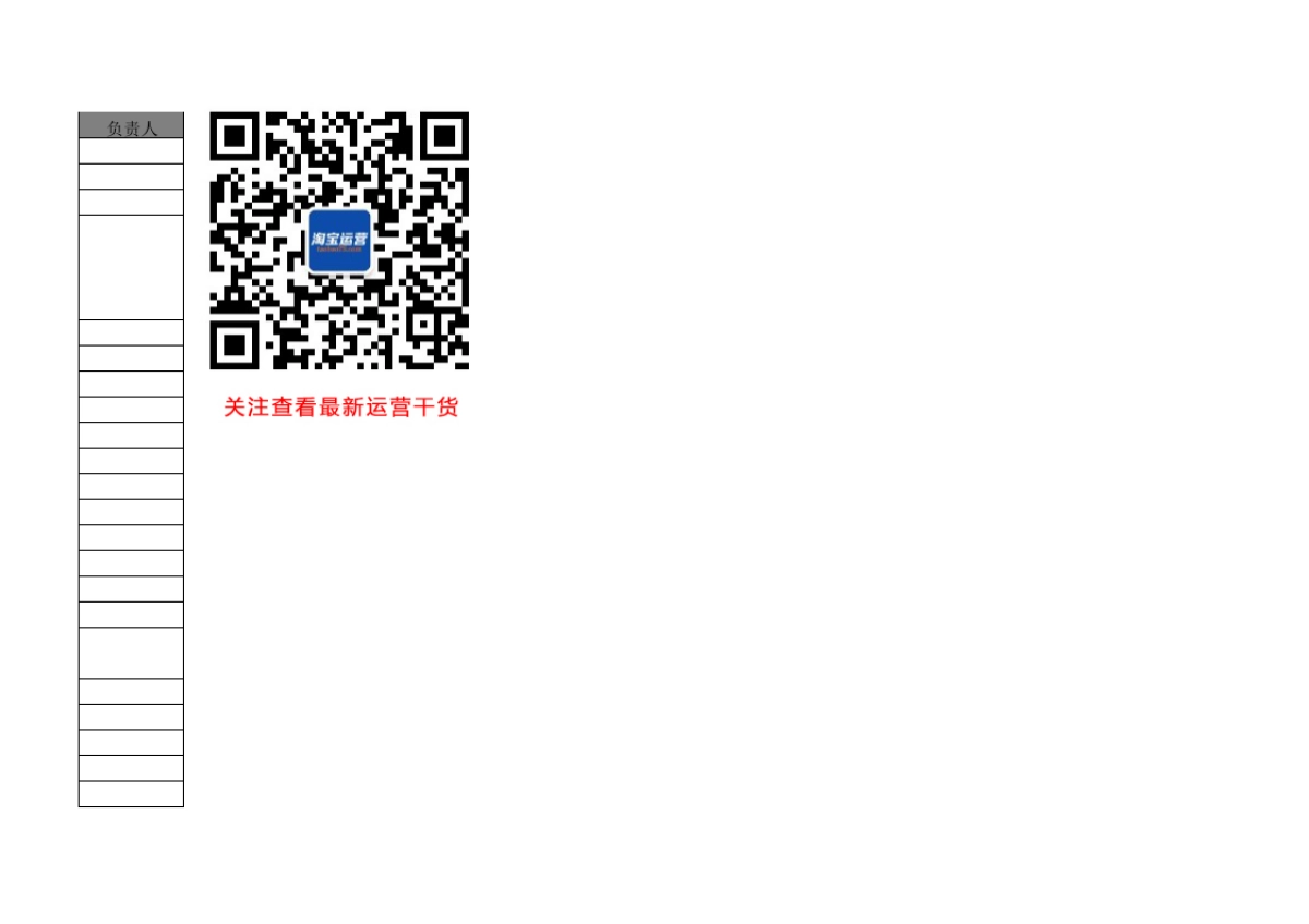 【双11】行动汇总表_第4页