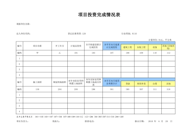 项目投资完成情况表