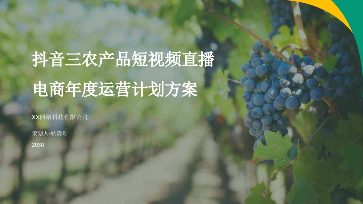 抖音三农产品短视频直播电商年度运营计划方案_第1页