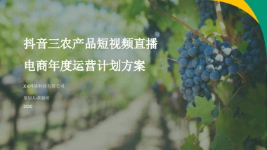 抖音三农产品短视频直播电商年度运营计划方案