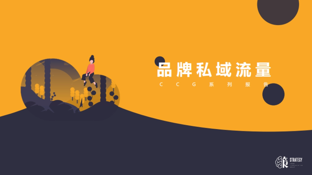 品牌私域流量搭建_第1页