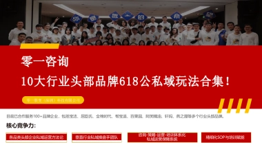 十大头部品牌618公私域玩法汇总