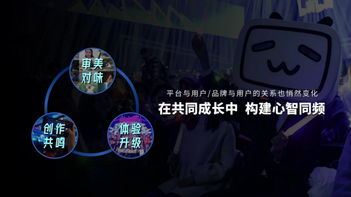 B站2021品牌营销手册_第8页