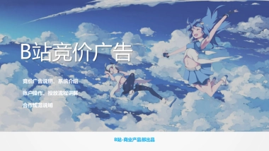 B站竞价广告产品介绍