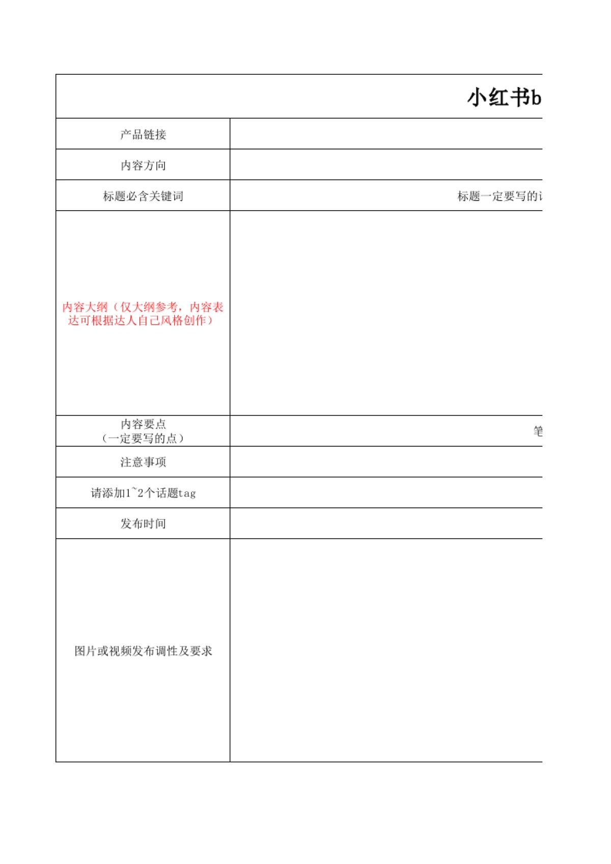 小红书brief模板_第1页