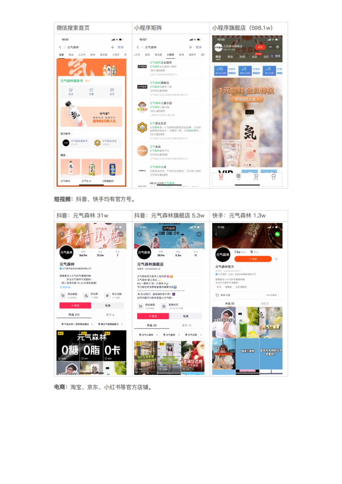 13-私域案例拆解-快消电商-酒水饮料-元气森林私域布局_第4页