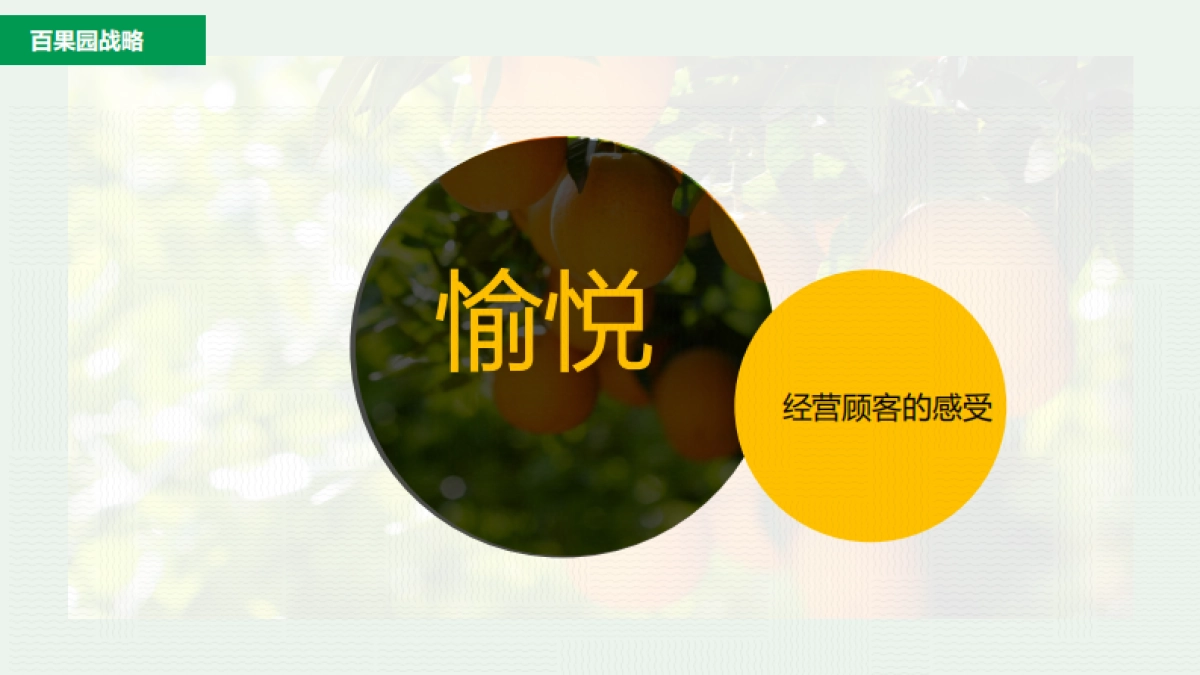 百果园的社群运营介绍_第9页