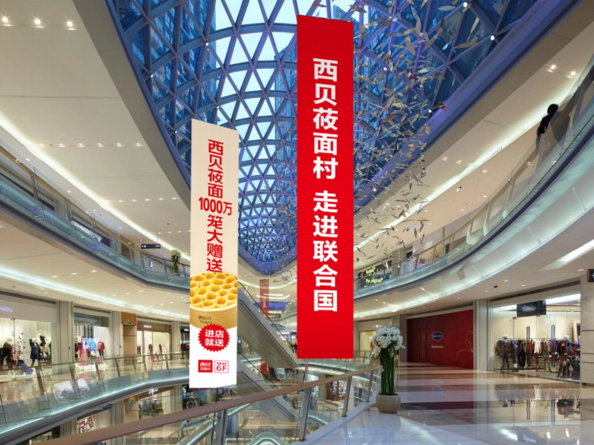 【华与华】西贝莜面村走进联合国执行案_第9页