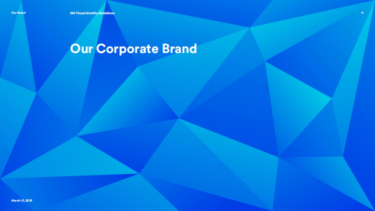 3m_visual_guidelines2015_第4页
