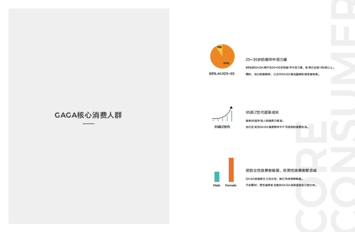 2022gaga餐饮品牌手册_第8页
