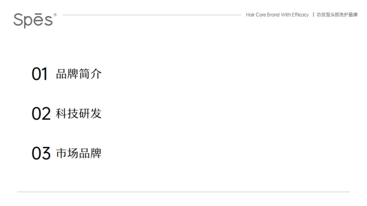 2023 Spes诗裴丝品牌手册_第2页