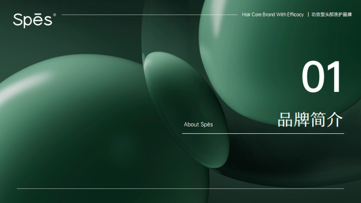 2023 Spes诗裴丝品牌手册_第3页