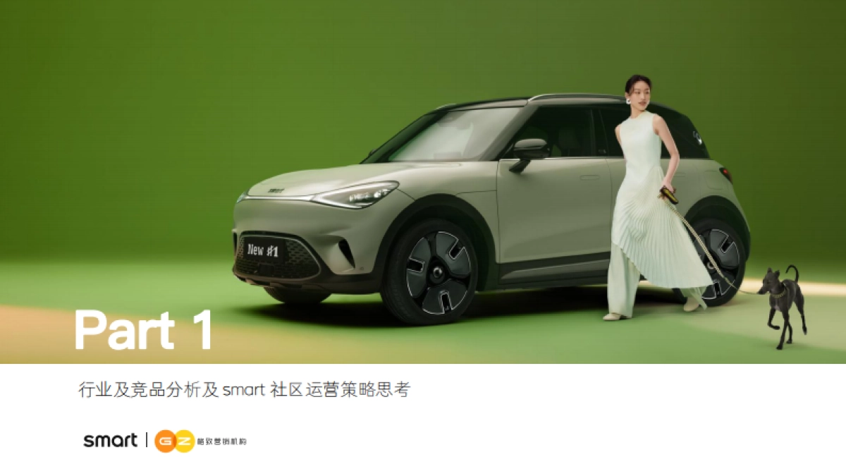 2024 smart社区运营全案服务项目_第3页