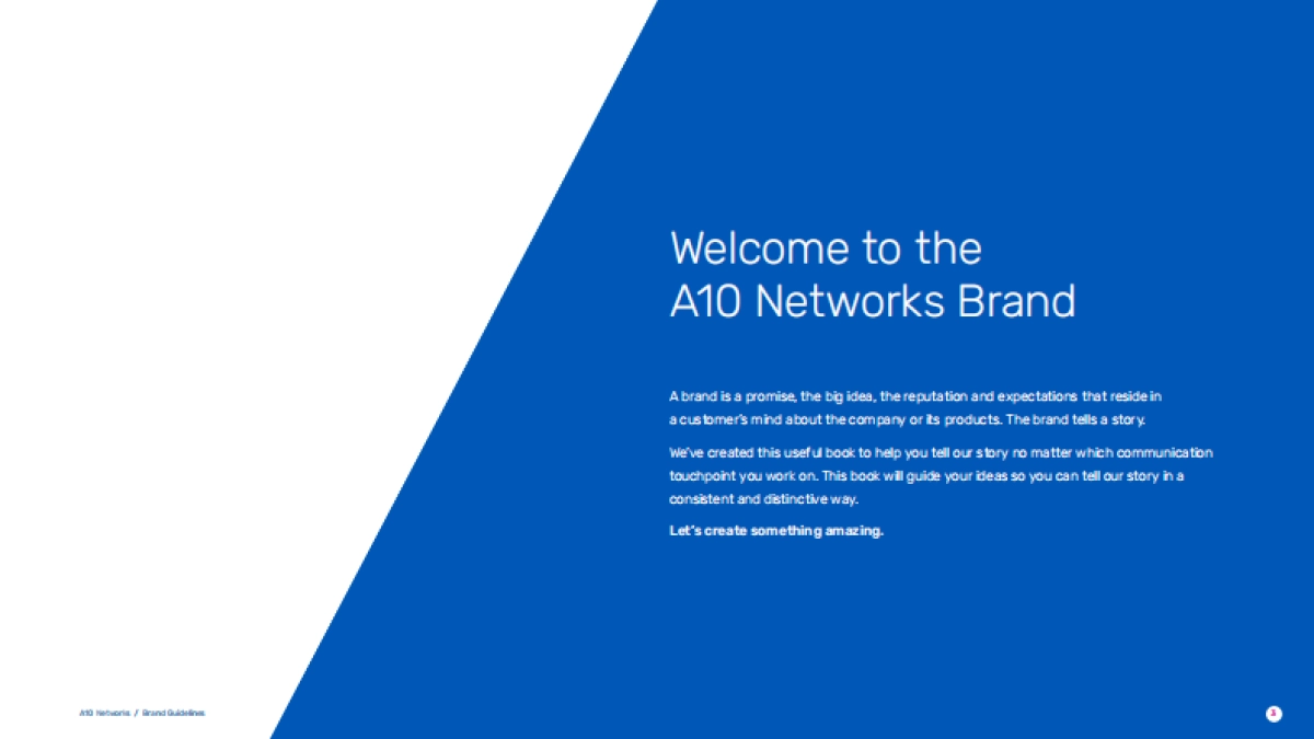 A10-Networks品牌VI手册2022_第3页