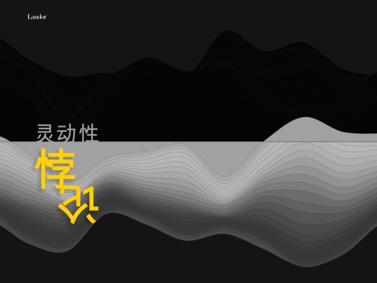 AgilityParadox_NoVideo-Print_CN_27Nov2015-朗涛_第1页