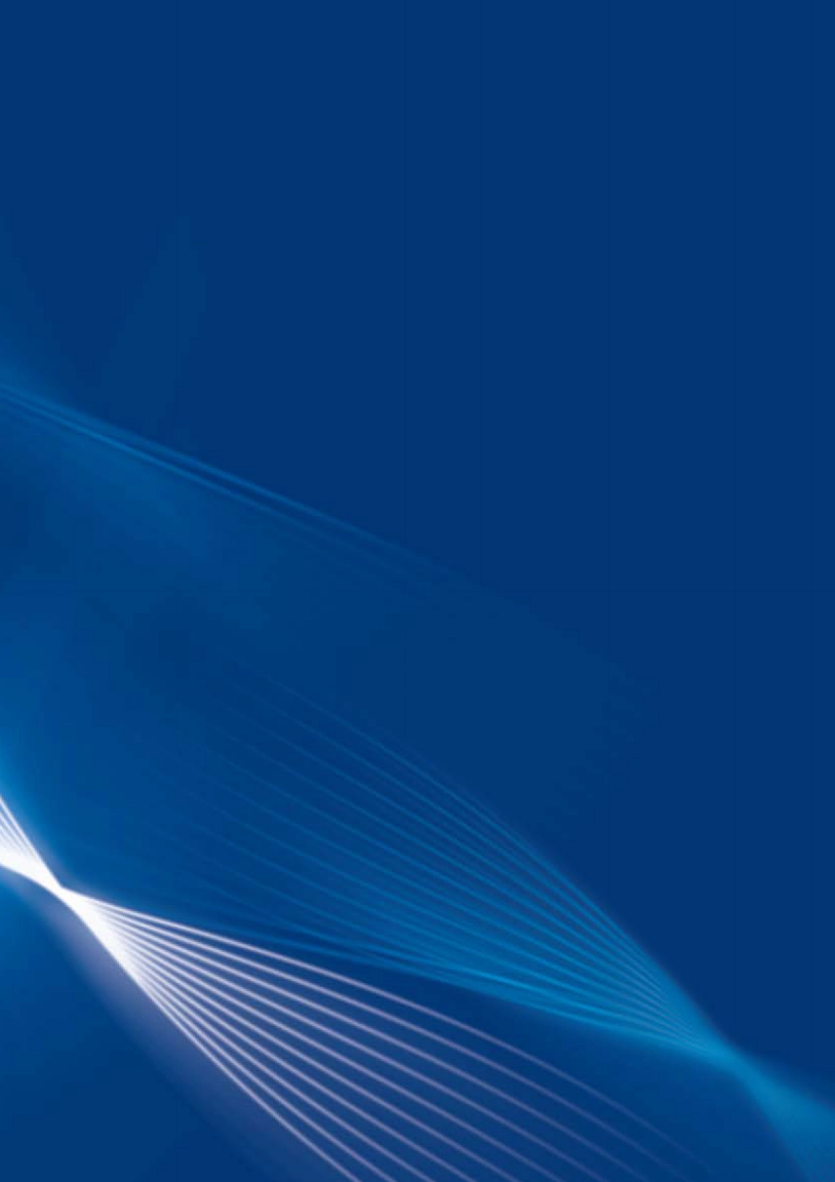 Annual_report2008_第2页