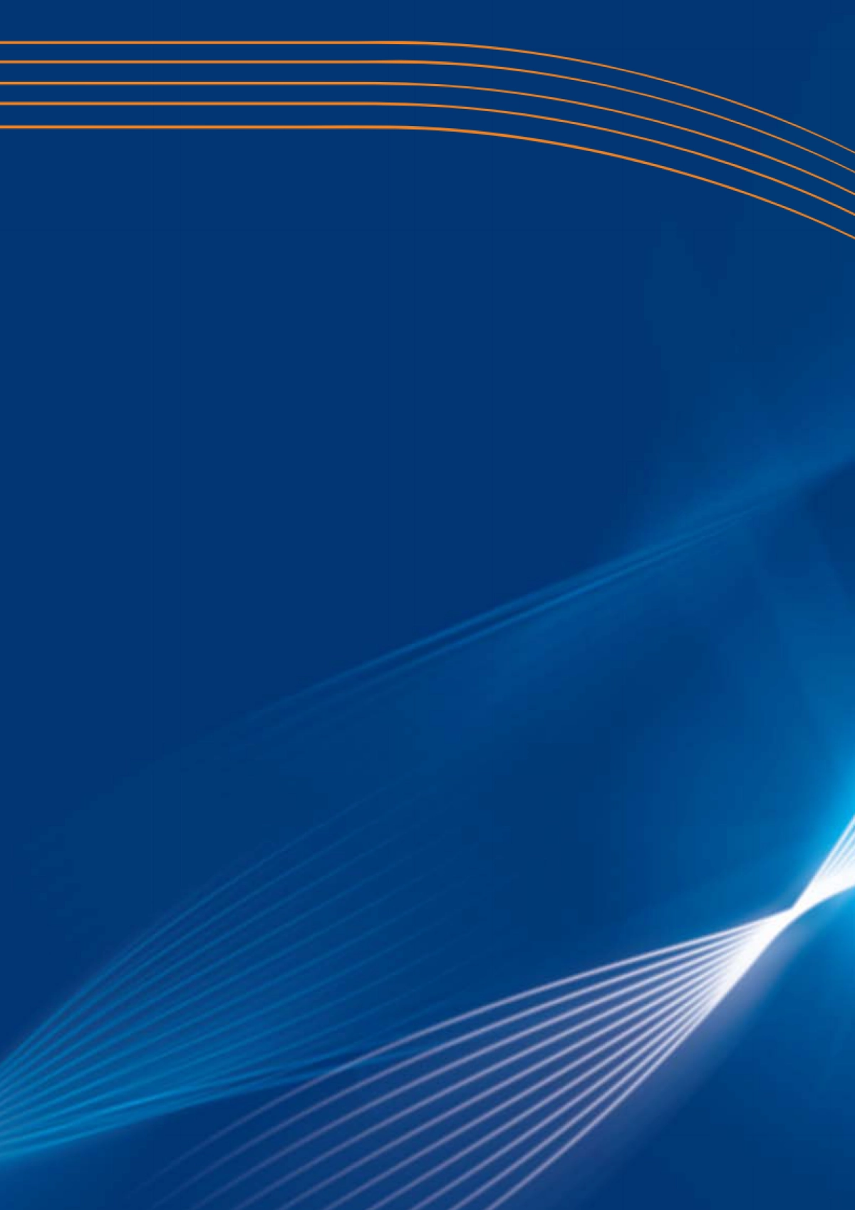 Annual_report2008_第5页