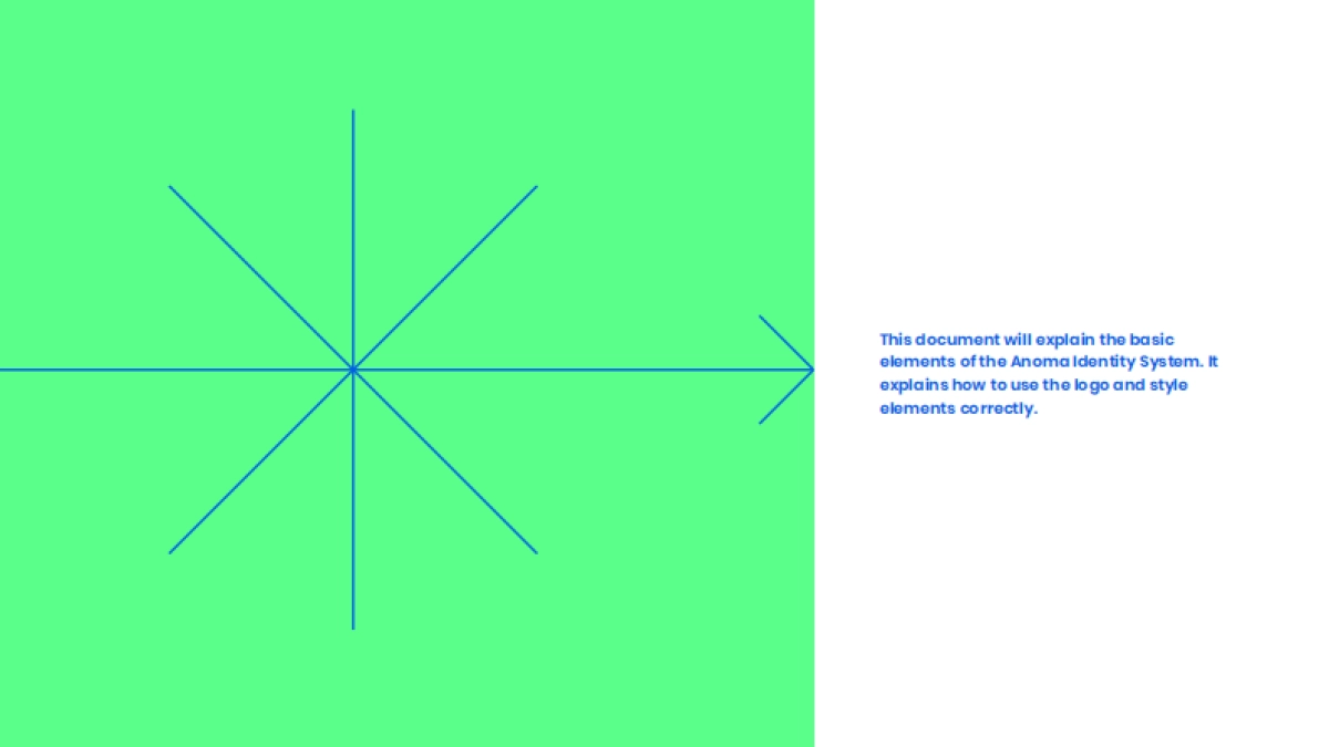 Anoma-BrandGuide_第2页