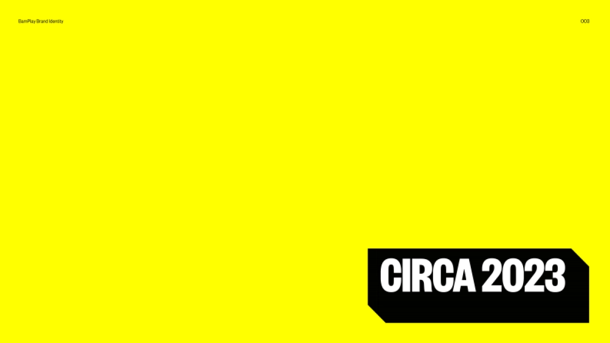 BAMPLAY-v1.0-2024_第3页