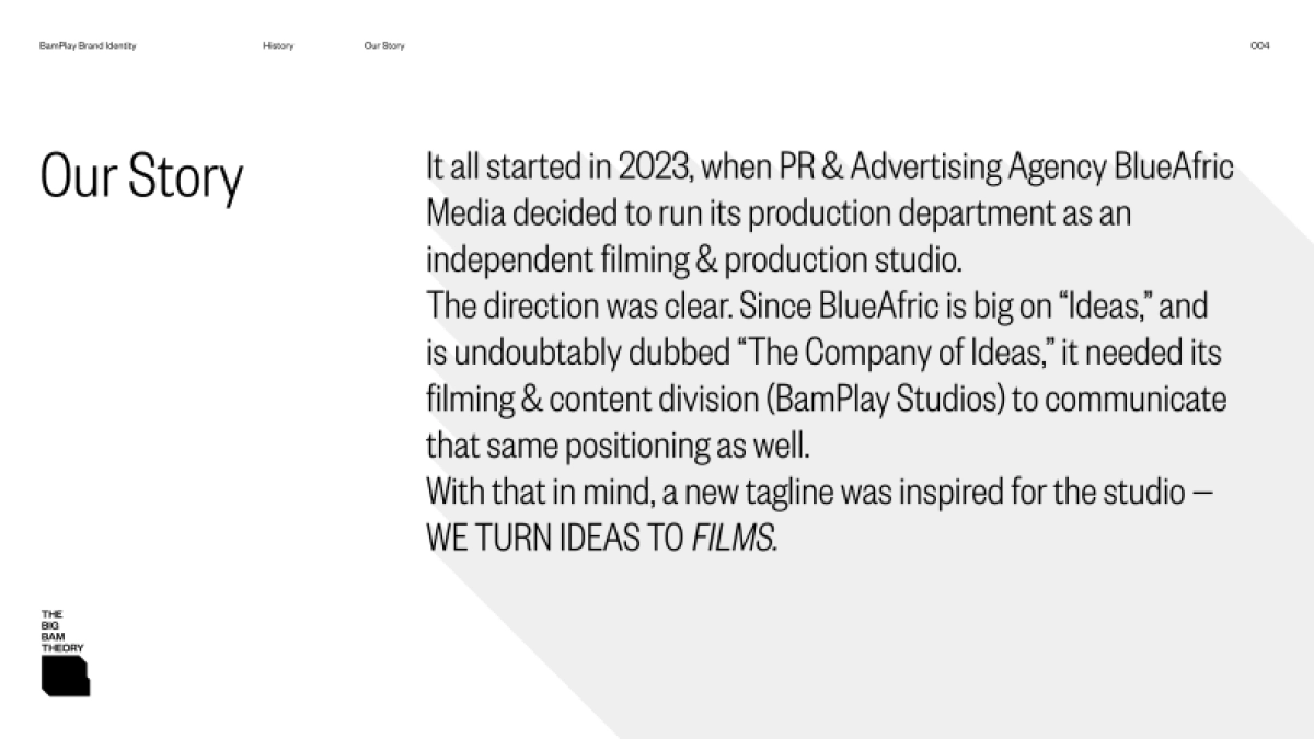 BAMPLAY-v1.0-2024_第4页