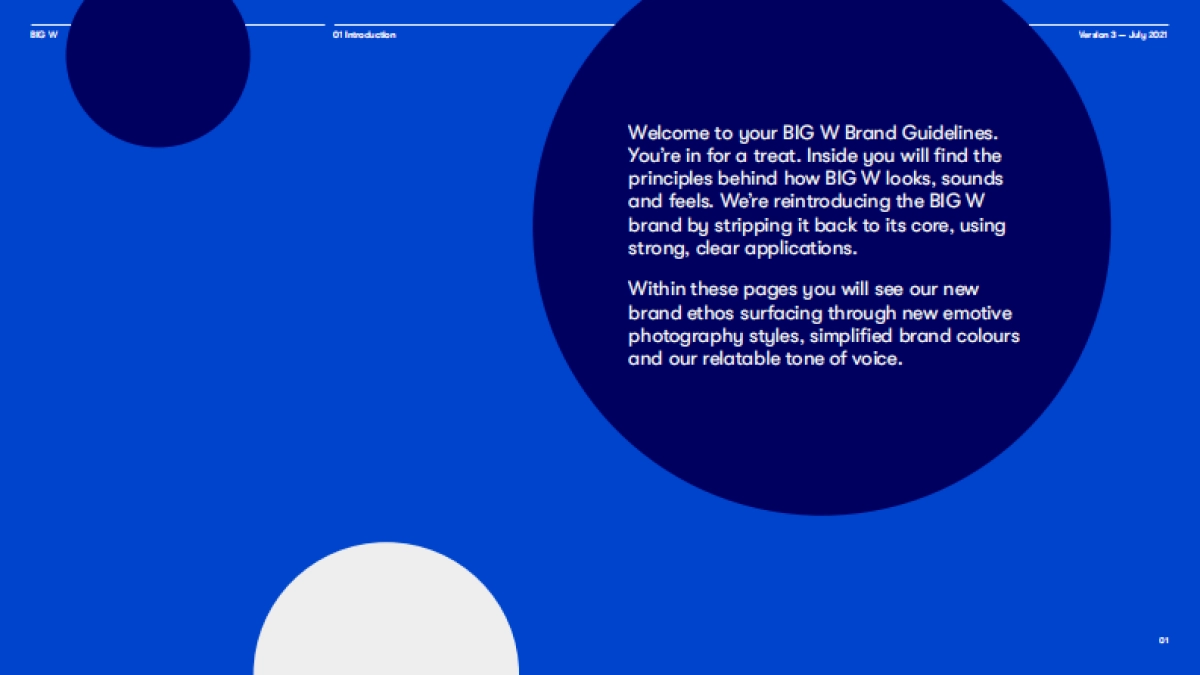 BigW澳大利亚连锁折扣百货公司-VI手册2021_第3页
