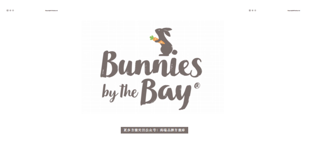 bunnies by the bay手册(不支持编辑)_第1页
