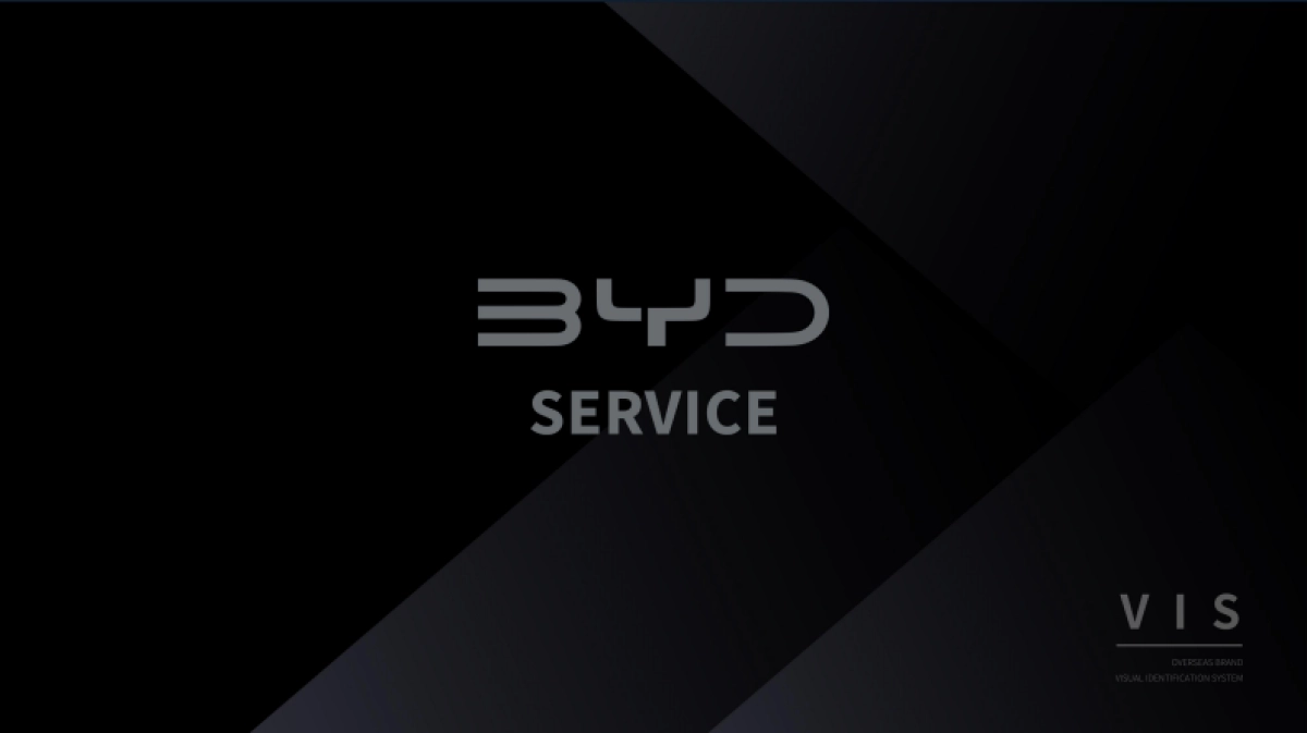 BYD-oversea-VI-standard- 47_第1页