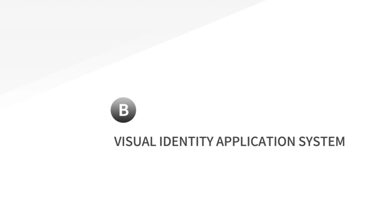 BYD-oversea-VI-standard- 47_第5页