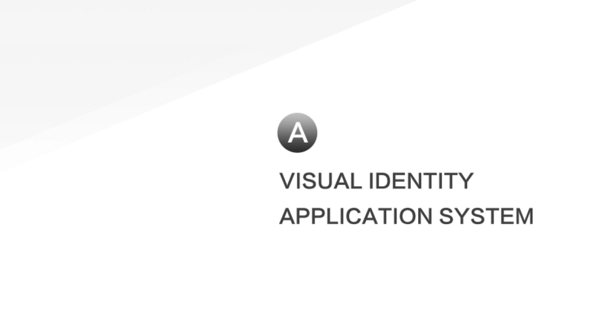 BYD-比亚迪SERVICE-VIS_EU-V.1-29_第3页
