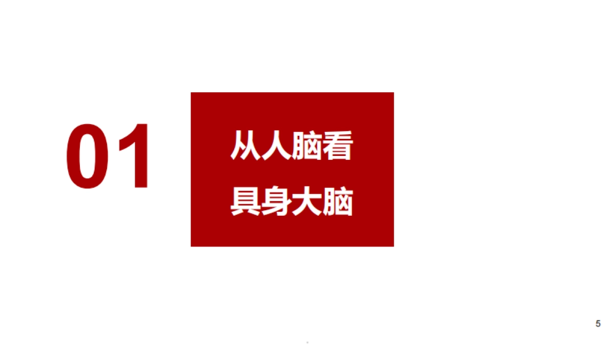 2025具身机器人行业未来展望报告.pdf_第3页